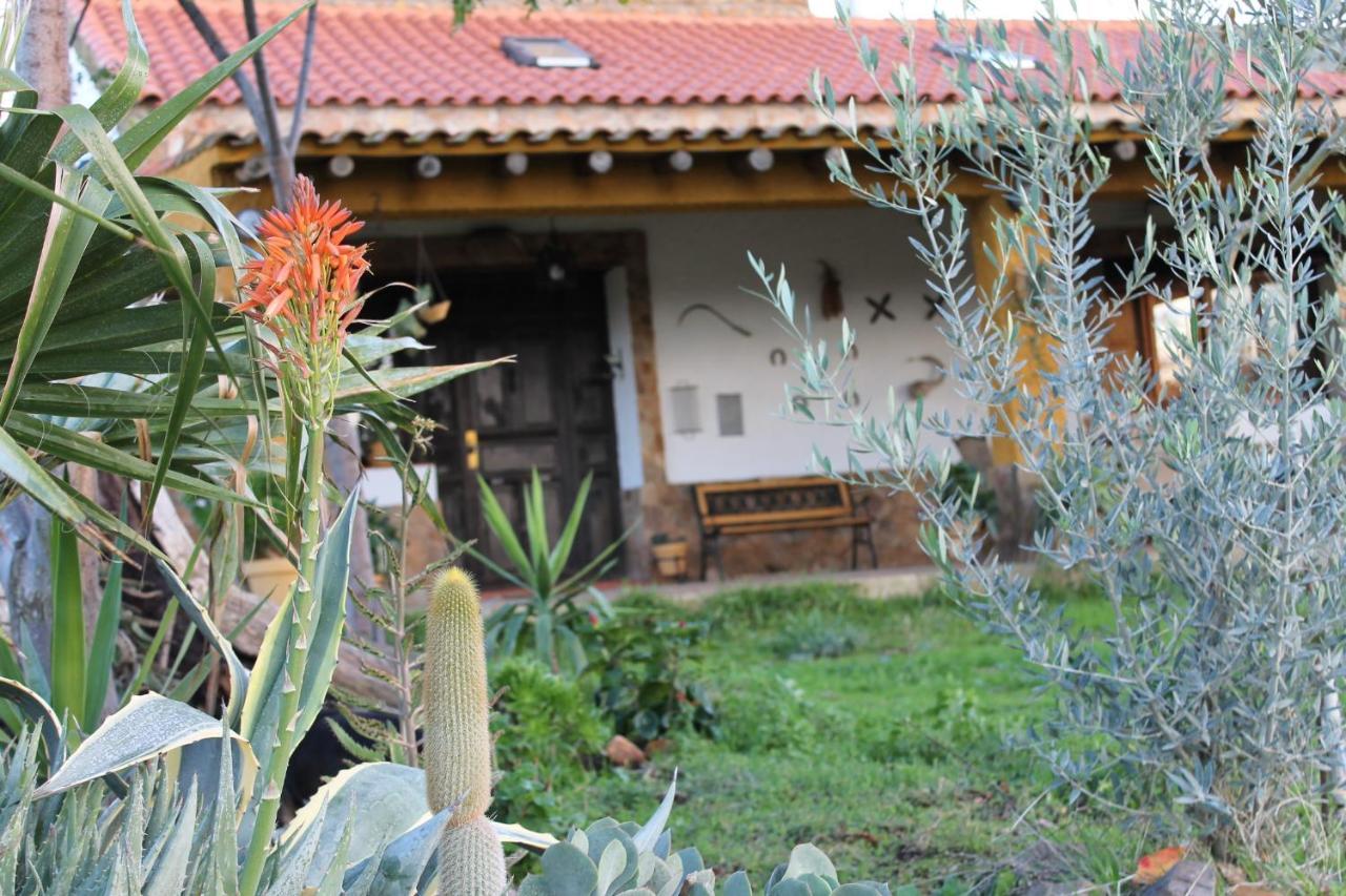 Casa Rural La Coscoja Mérida Eksteriør billede