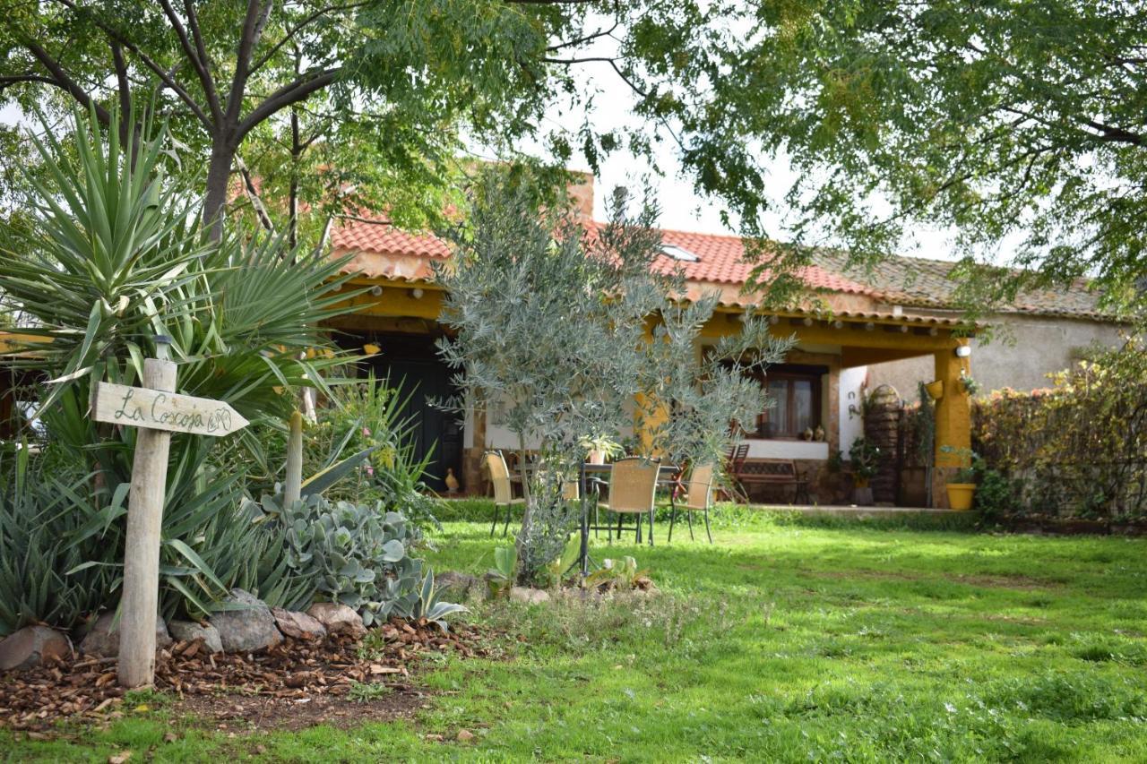 Casa Rural La Coscoja Mérida Eksteriør billede